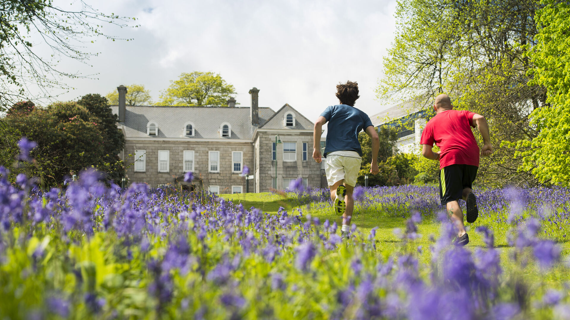 Rural Mental Health Research: Engaging with Youth Services and Young People across Devon