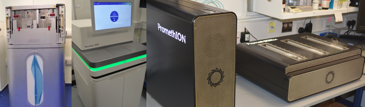 Sequencing Facilities > Rare Disease Genomics