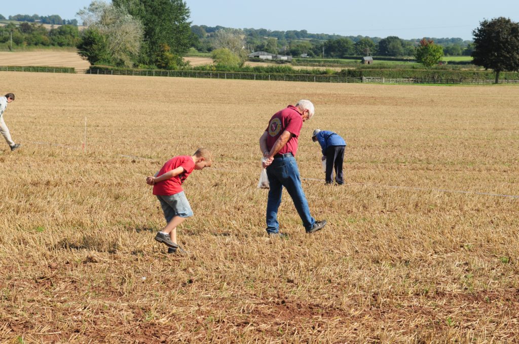 People walking across a stubble field, heads down, looking for finds