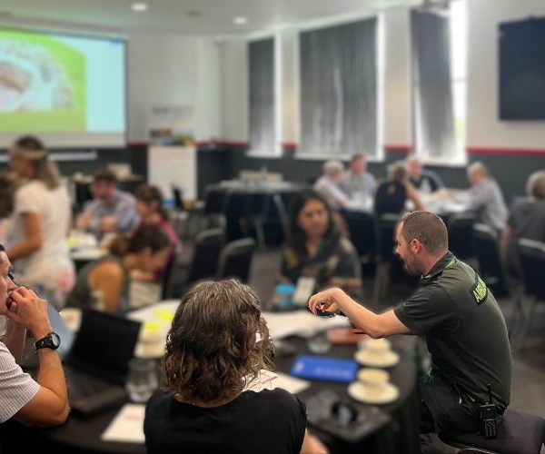 Major new programme to be evaluated by VoySES team