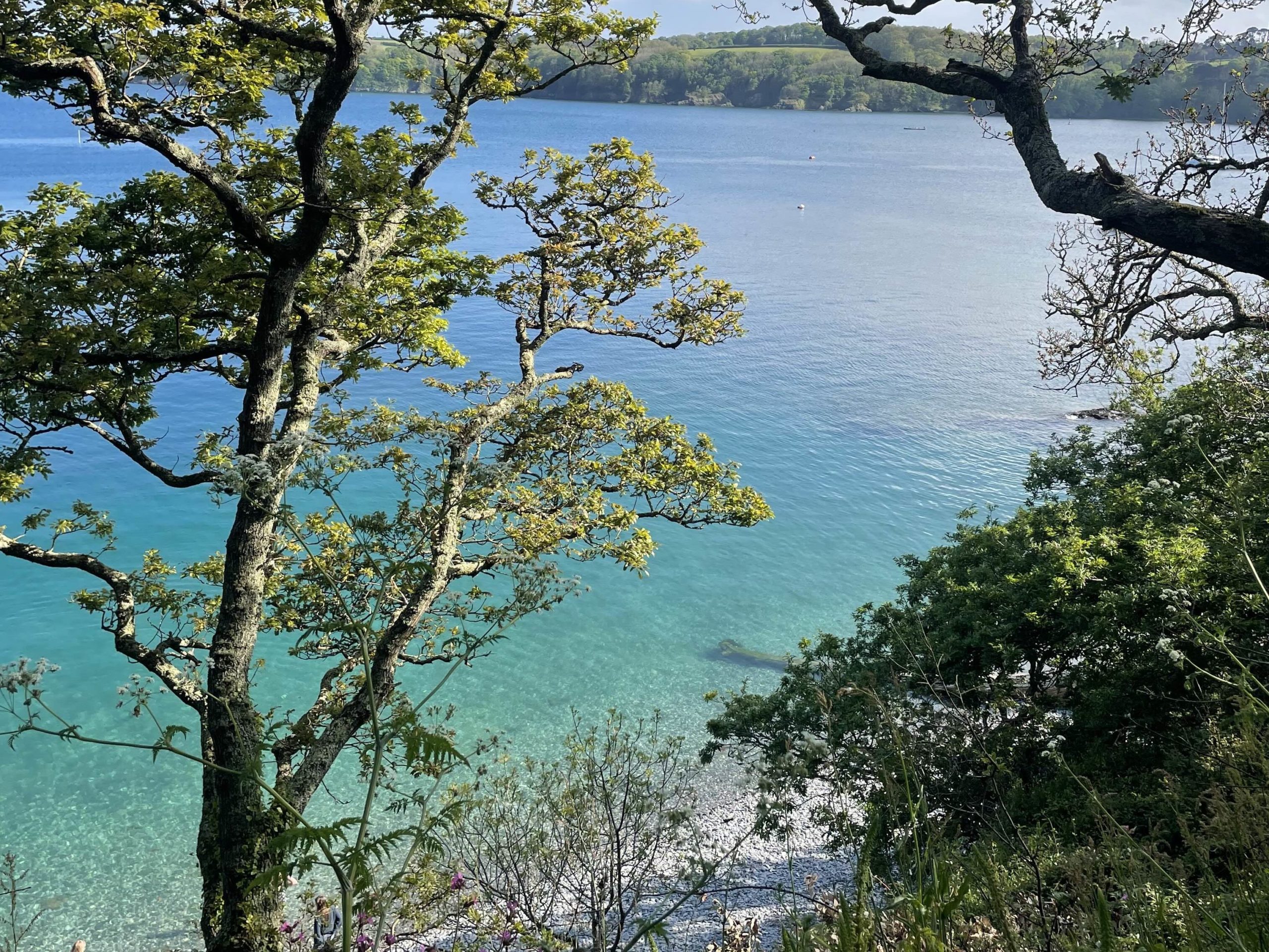 Grebe beach in the sunshine