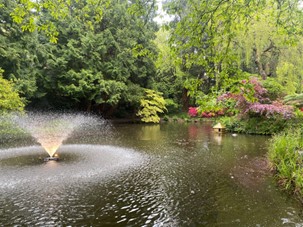 Pond with a fountain surrounded by trees