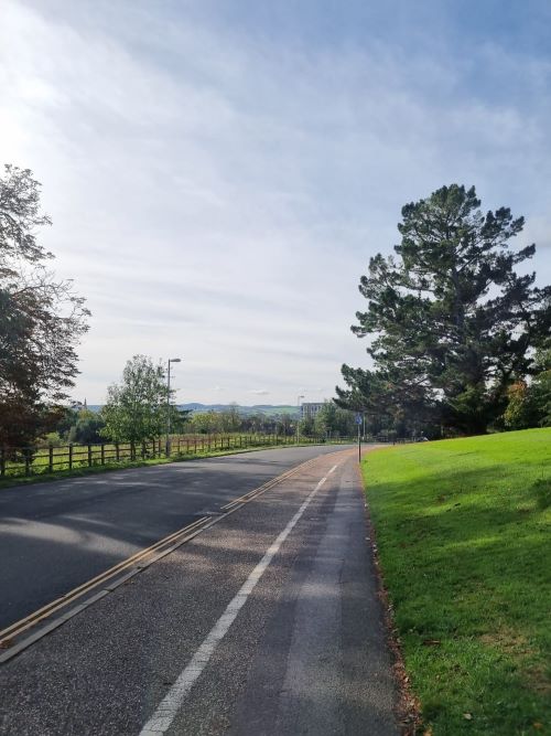 Empty road surrounded by grass and trees on a sunny day