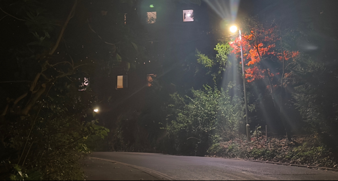 A dimly lit pathway at night, surrounded by trees and illuminated by a streetlamp, highlighting red autumn leaves and nearby building windows faintly visible.