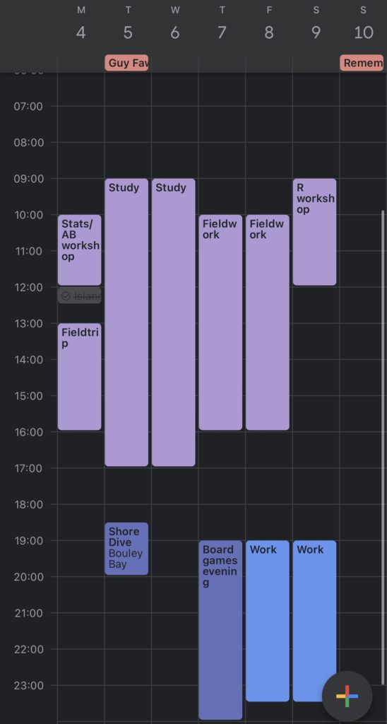 Google calendar screenshot showing my schedule for the week
