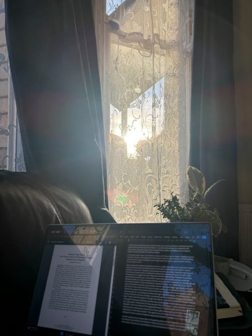 A laptop screen showing an essay being edited in front of a plant, the back of a leather sofa and a window filled with sunlight