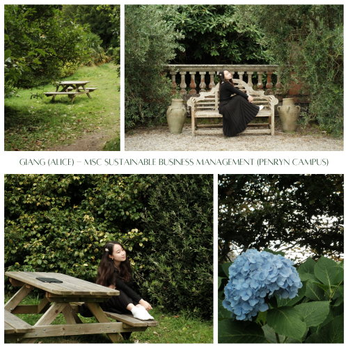 four images of the grounds of the Penryn campus, including two of a student sitting on benches amongst greenery