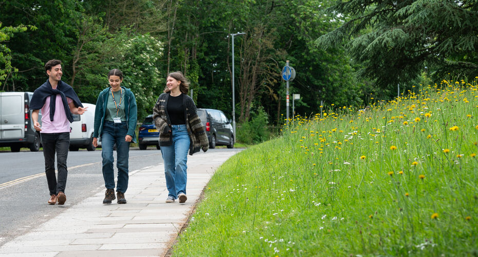Students walking, talking and laughing on a pavement next to tall goring grass