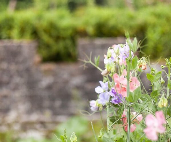 Sustainable student life at the University of Exeter