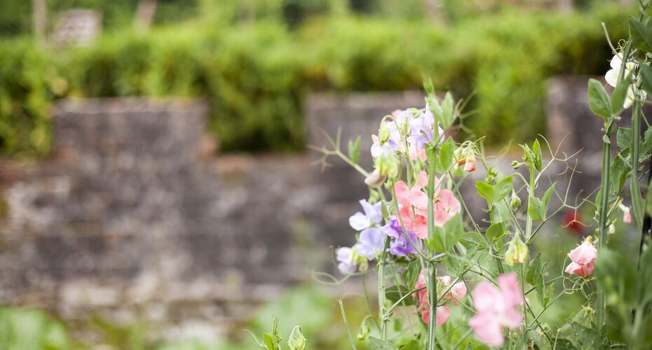 Sustainable student life at the University of Exeter
