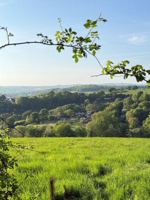 Devon countryside hills in the sunshine