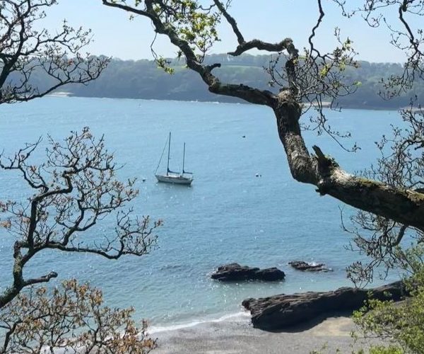 Why I chose the University of Exeter’s Penryn Campus