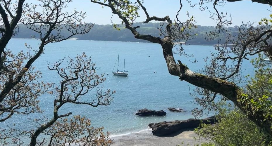 Why I chose the University of Exeter’s Penryn Campus