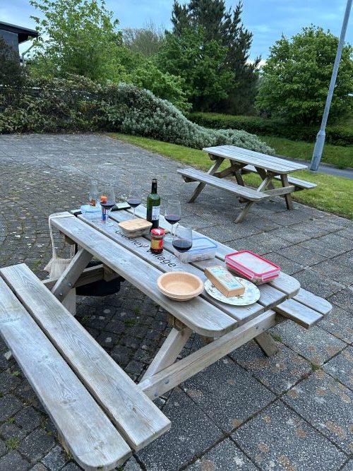 Asian food and several glasses of red wine on a wooden picnic bench