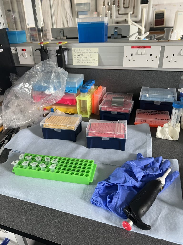 Lab work for my dissertation 