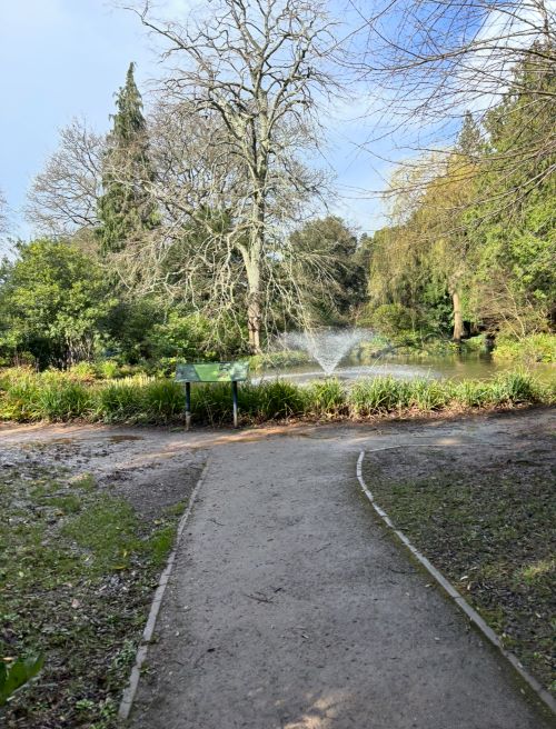 Path leading between grassy lawn to a pond with a fountain surrounded by trees