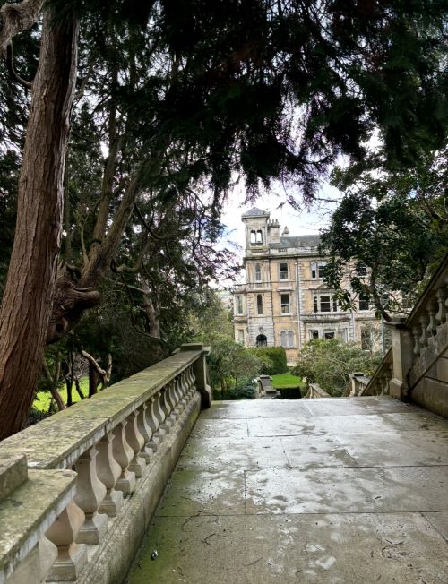 View between trees down stone steps to Reed Hall, Streatham Campus
