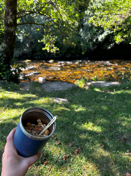 Cereal in a mug in the forest