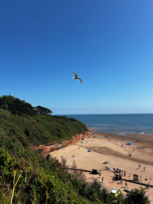 View of a sandy beach on a sunny day taken from the clifftop