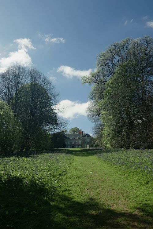 Grassy path leading up to Tremough House, Penryn Campus