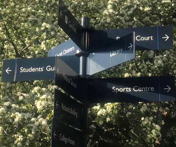 Undergraduate to Postgraduate at Exeter – my progression experience
