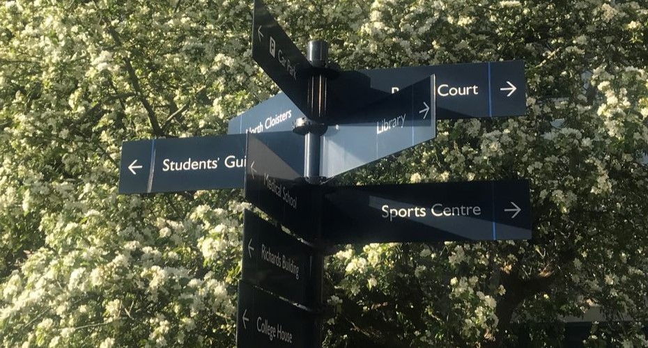 Undergraduate to Postgraduate at Exeter – my progression experience