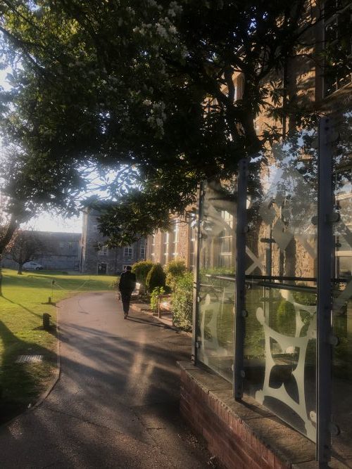 Sunlit view of the grassy quad at St Luke's campus