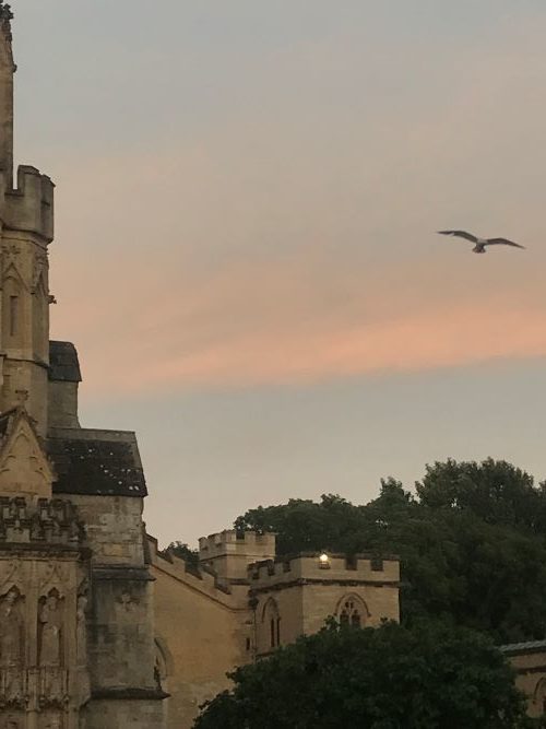 Sunset over Exeter Cathedral