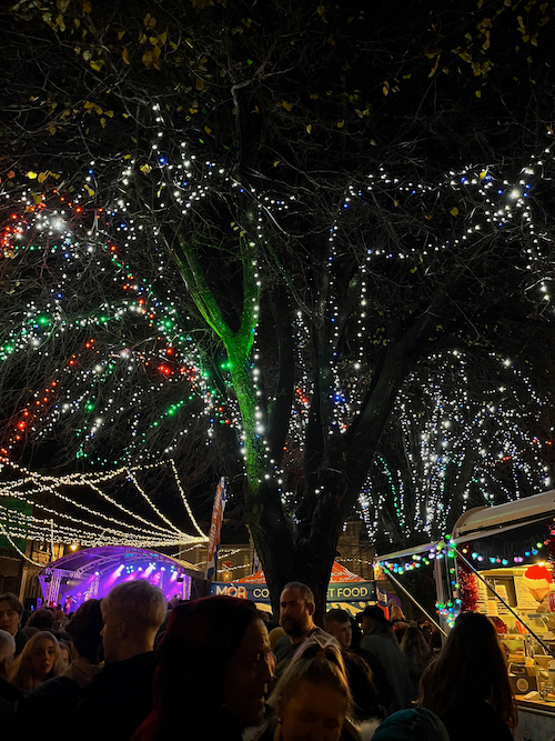 A tree in Falmouth decorated with Christmas lights