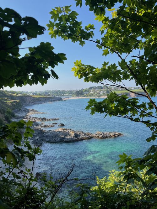 View of turquoise sea taken between trees