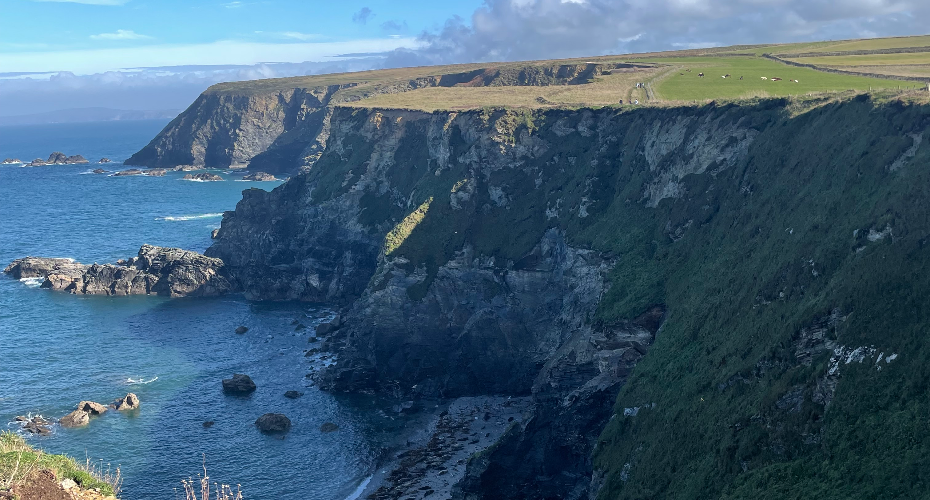 Why I chose to study at Exeter’s Penryn Campus