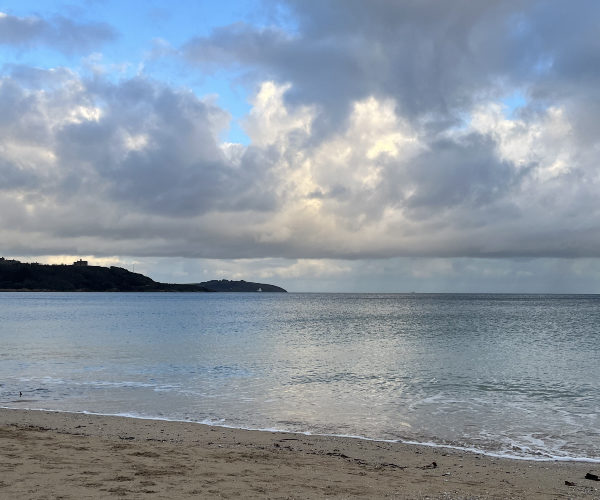 My journey to choosing the University of Exeter (Cornwall)