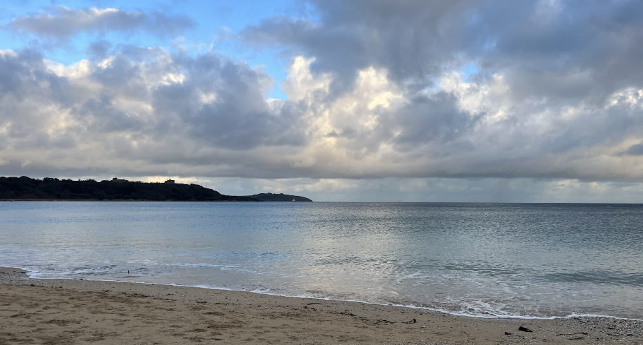 My journey to choosing the University of Exeter (Cornwall)