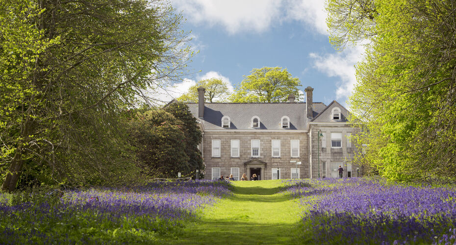 Lawns covered in flowers leading up to Tremough House, Penryn Campus