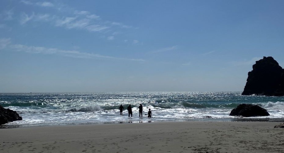The silhouette of four students standing in the sea at a sunny Cornish beach