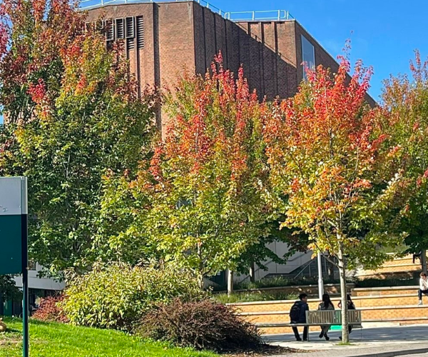 How Exeter supported my journey as an International Student 