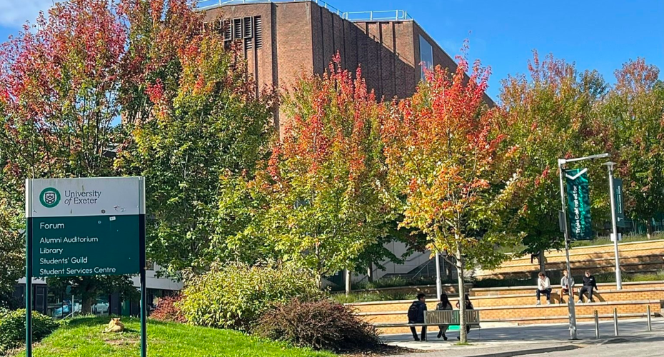 How Exeter supported my journey as an International Student 