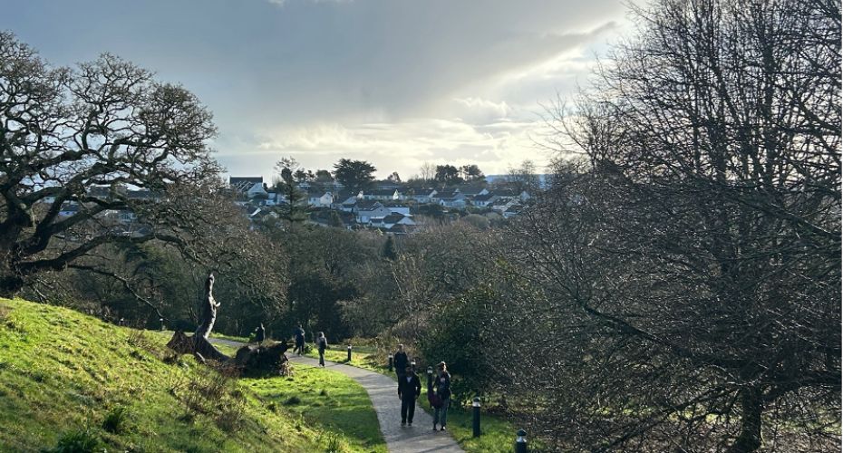 A scenic campus pathway lined with lush greenery