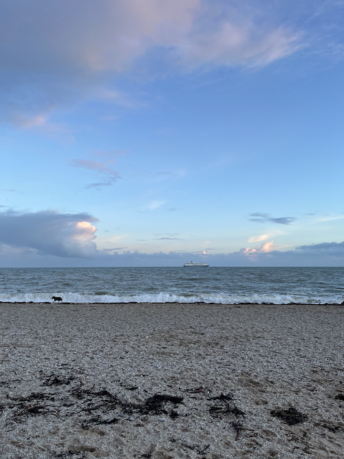 Gyllyngvase Beach with evening sunshine and a dog running across