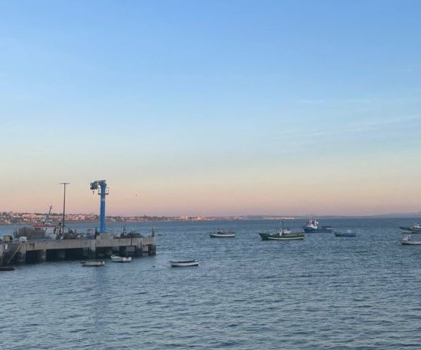 Small businesses, student start-ups and more – a week at the Penryn Campus