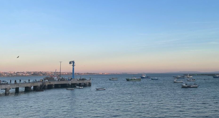 Small businesses, student start-ups and more – a week at the Penryn Campus