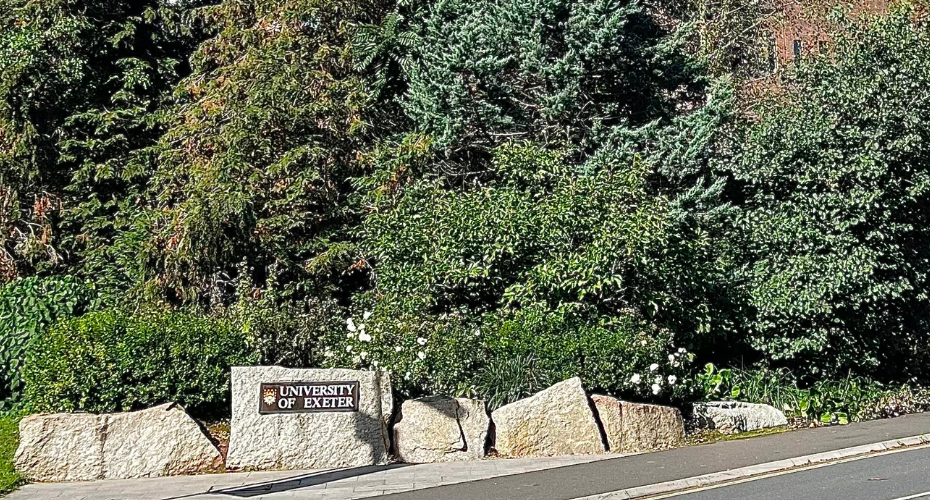 Why I chose the University of Exeter as an international student