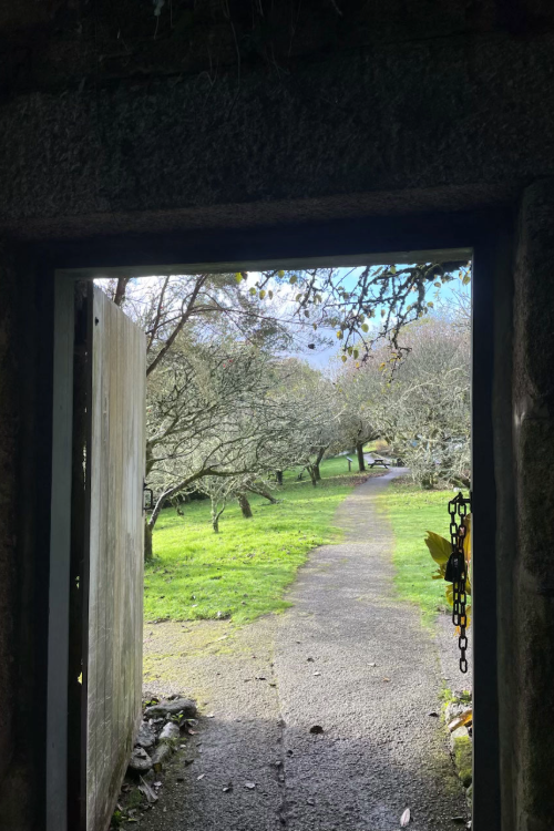 Doorway looking into garden. central path with trees on either side.