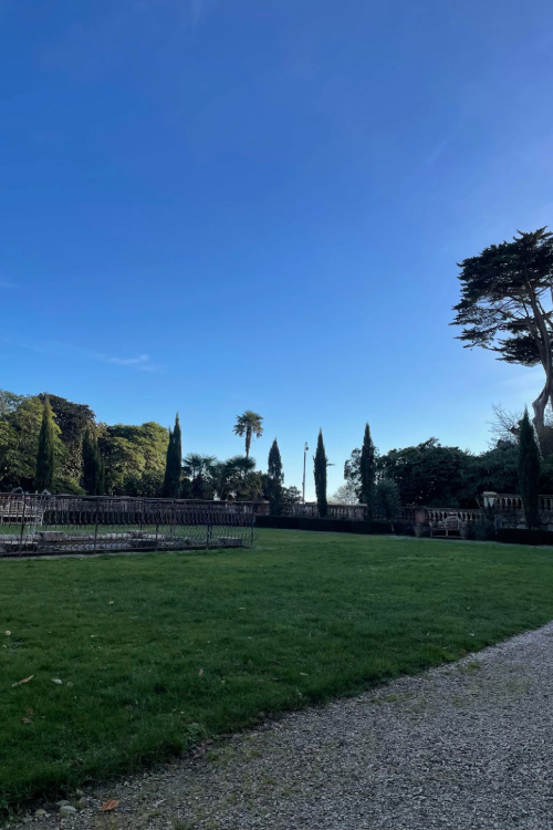 Garden with a pond in the middle, surrounding trees, and a blue sky.