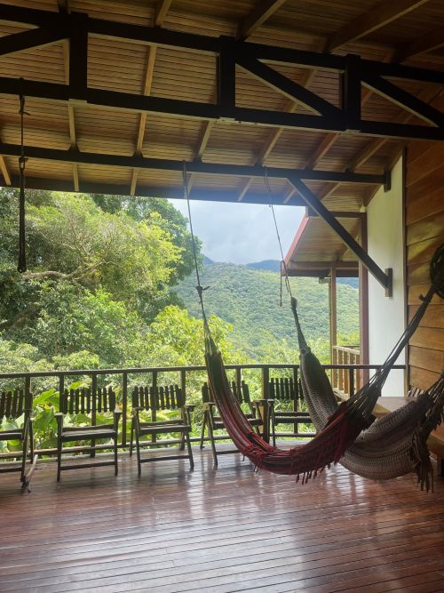 Hammocks on the decking of our accomodation at Monteverde, overlooking a gorgeous forest.