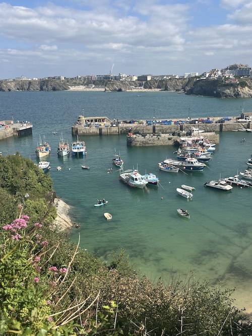 Newquay harbour with clear blue sea, pretty purple flowers and boats
