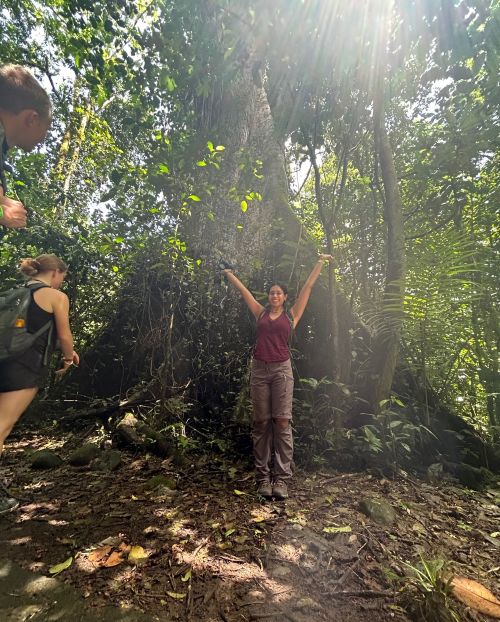 Me standing in front of a giant Ceiba tree during a guided walk in a forest at La Selva.