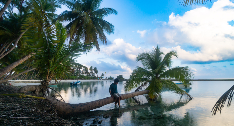 Me sitting on a palm tree over calm water in the morning