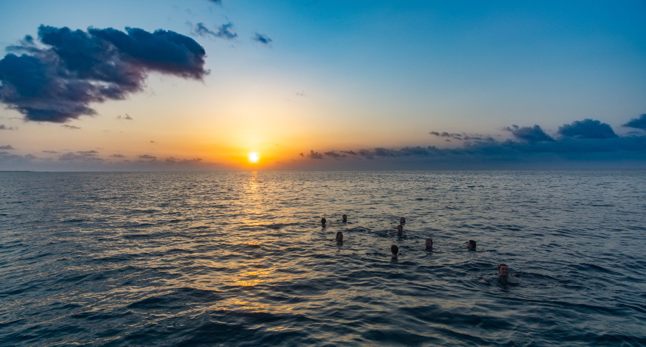 Swimming into the sunset