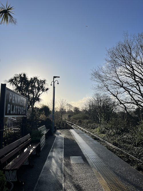 Penmere train station on a sunny winter morning, with a palm tree